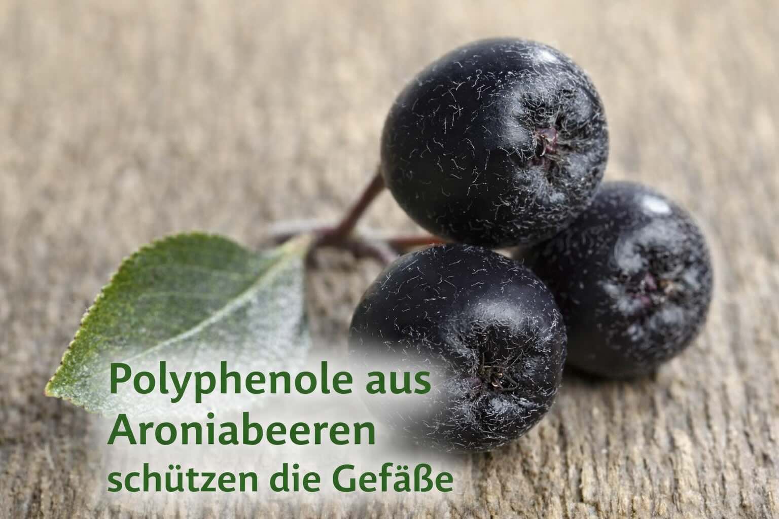 #Aroniabeeren #Polyphenole #Gefäßgesundheit #Antioxidantien