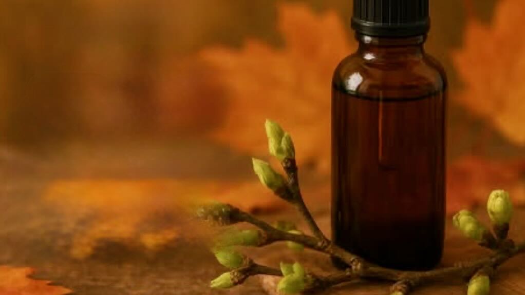 Herbst, Heilpflanzen, Naturheilkunde, Immunsystem stärken, Erkältungszeit, Herbstliche Gesundheitstipps, Natürliche Medizin, Pflanzenextrakte, Homöopathische Tropfen, Naturheilpraxis, Prävention Erkältung, Hustensaison, Schnupfenzeit, Ätherische Öle, Pflanzliche Unterstützung, Natürliche Abwehrkräfte, Herbstliche Naturkulisse, Gesundheitsvorsorge Herbst, Holistische Gesundheit, Naturheilkundliche Empfehlungen